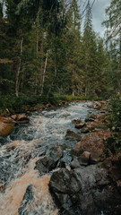 Karelia. Russia. View of the forest river