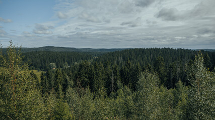 View from the mountain of Karelia panorama of Paaso Karelian settlement beauty of nature forests