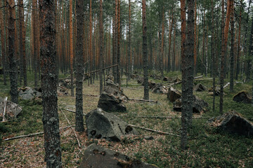 Line fortifications for defense against tanks during World War 2. Karelia