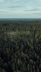 Karelia. Russia. View from the mountain Heidenvuori