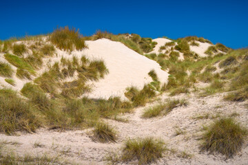 Fototapeta na wymiar Sand dunes on a hiking trail near Cala Mesquida beach on Mallorca island in Mediterranean Sea