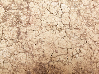 The ground has cracks in the top view for the background