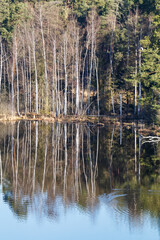 Spiegelung am Teichufer, Ausblick von der Himmelsleiter, Tirschenreuther Teichpfanne