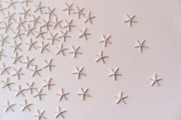 Starfish wall decorations 