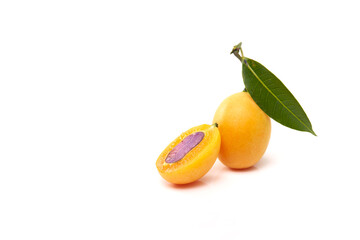 Sweet Yellow Marian plum with leaves