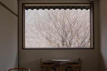 View looking from inside window with branch of tree nature outdoor.