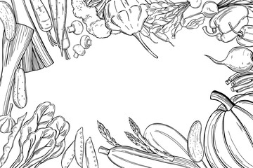 Vector background with  hand drawn vegetables. Sketch  illustration.  
