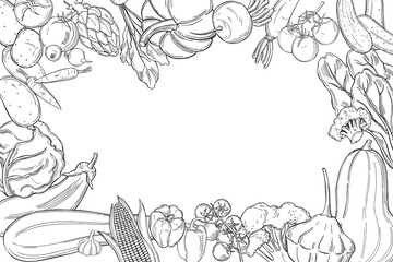 Vector background with  hand drawn vegetables. Sketch  illustration.  