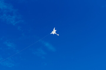 Colorful Kites flying over the sky