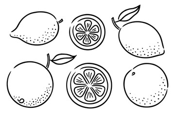Set of hand-drawn citrus fruits