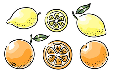 Set of hand-drawn citrus fruits