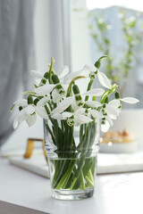 Beautiful snowdrops in vase on white table