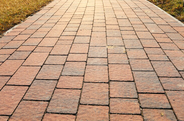 Cobbled walkway in the middle of the lawn.