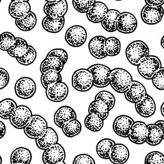 Bacterium seamless pattern in realistic sketch stile. Hand drawn medical background. Vector illustration