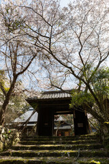 黒田家祈祷寺日照院　福岡県朝倉市秋月