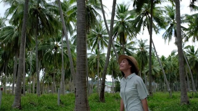 Slow motion of a young woman with hat walking and looking at coconut trees in the garden