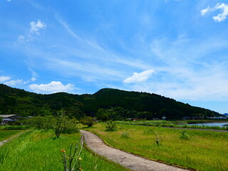 遊歩道