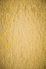 Yellow moss on a gray wall. Background wall, Moss texture