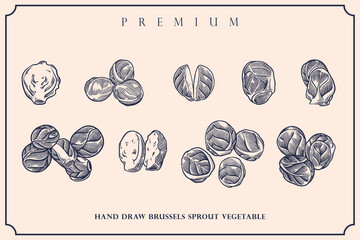Engraved illustration of brussels sprout vintage set