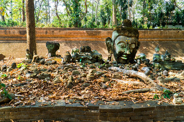 Damaged buddha image head statue at the temple wall background in thailand. Pile of broken buddha...