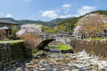 Fototapeta premium 野鳥川に架かる石造秋月の目鏡橋と桜の風景