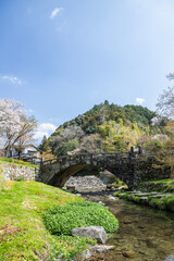 Fototapeta na wymiar 野鳥川に架かる石造秋月の目鏡橋と桜の風景