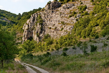 Panorama from the area of ​​Rusenski Lom Nature Park with high vertical limestone cliffs, overgrown with deciduous trees, Nisovo, Bulgaria  