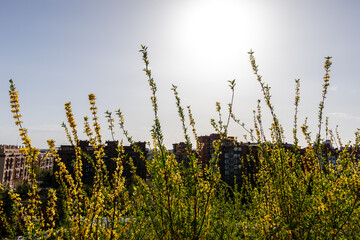 Madrid Enrique Tierno Galvan park, where the planetarium is located