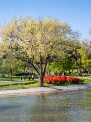 Obraz premium Madrid Enrique Tierno Galvan park, where the planetarium is located