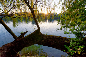 Fanac island in the Marne river. Grand Paris area