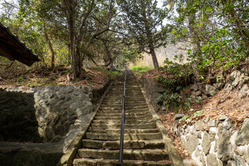 西伊豆　雲見浅間神社の参道の階段