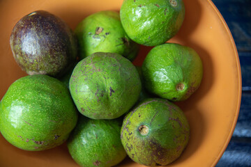 Fresh avocado fruits ready for consumption