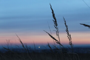 Obraz premium sunset