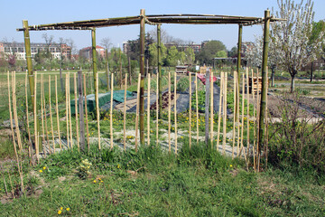 Orto in città con gazebo in bambù e recinto