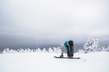 Snowboarder female putting on one leg in snowboard preparing to slide down slope in winter ski...