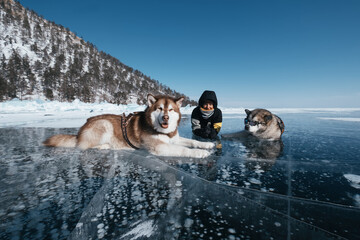 woman and sled malamute dogs on frozen Lake Baikal