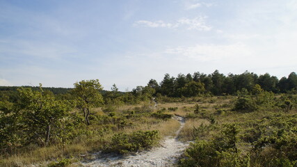 Vista dai monti delle Cesane