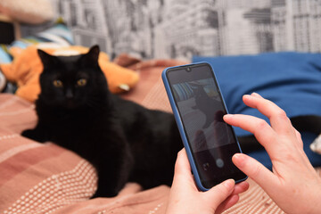 Phone shooting of a pet black cat lying on the bed