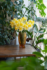 Vintage amber color glass vase with peacock feather pattern and daffodil flowers - on a wooden table before plants and window