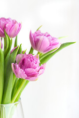 Delicate bouquet of pink tulips in a glass vase on a white background close-up. Greeting card for Mother's Day, 8 March. Floristics, flower shop. A freshness of a spring morning. Vertical, copy space.