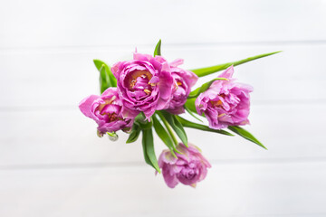Beautiful bouquet of pink tulips and on a white background, top view. Greeting card for mother's day, March 8 or wedding. Floristics, flower shop. The freshness of a spring morning. Poster.