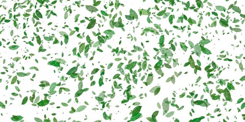 Abstract background Green leaf isolated on white background 