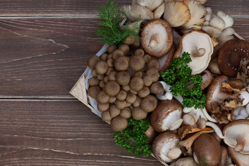 Variety of uncooked wild forest mushrooms in a wood box on wooden old board.