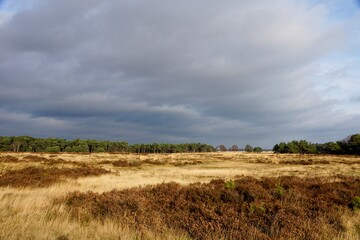 Trail in National Park Hoge Veluwe in the Netherlands