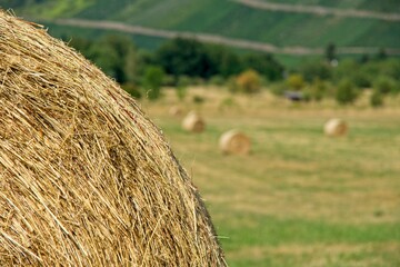 Close up of hay bale