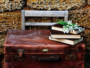subject photography, suitcase with books and snowdrops, white flowers