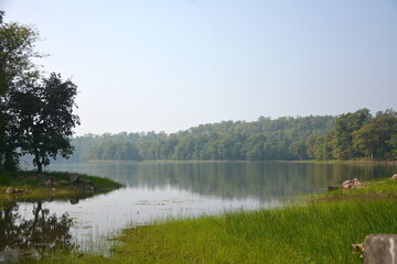 Fototapeta na wymiar morning on the lake near surat 