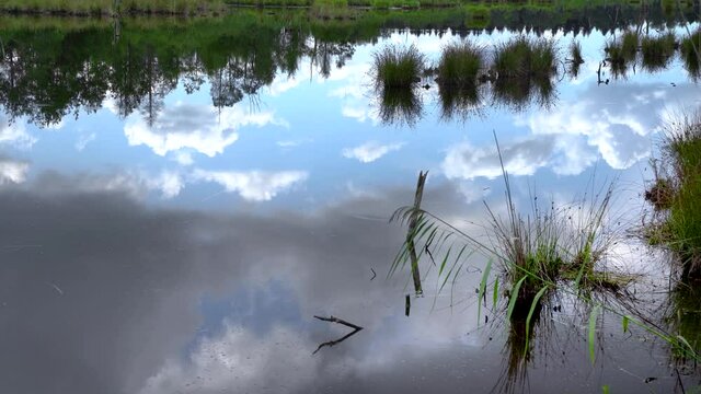 Wasseroberfl&auml;che im Moor mit Spiegelung des Himmels - Schwenninger Moos, Deutschland