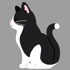 Simple and adorable black and white cat sitting in side view flat colored