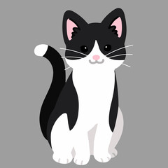 Simple and adorable black and white cat sitting in front view flat colored